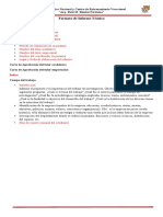 Modelo 'Formato de Informe Técnico 2022