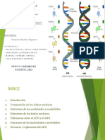 11 Química de Los Ácidos Nucleicos