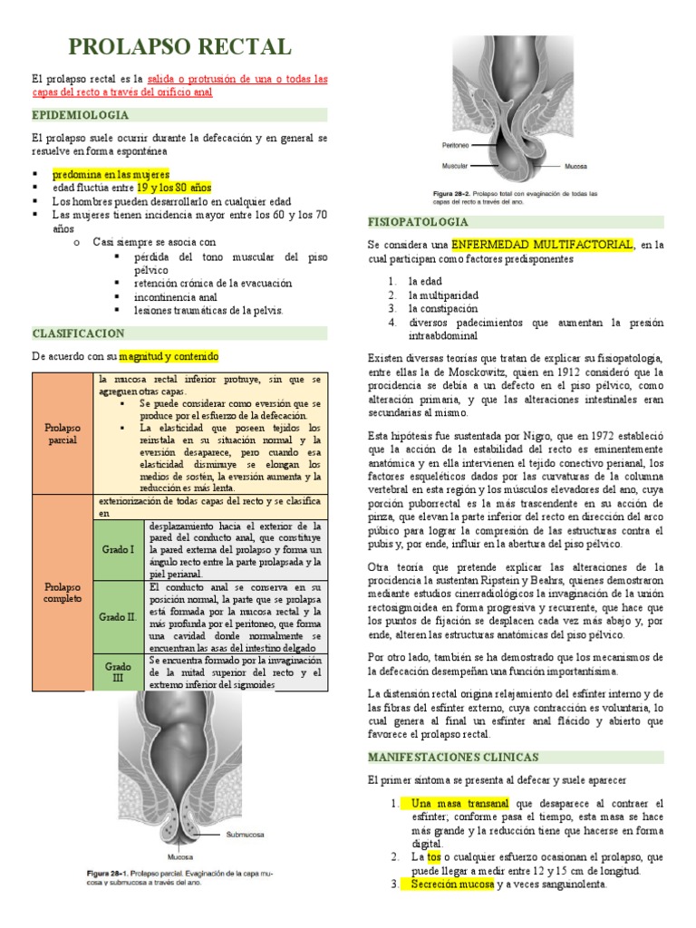 Prolapso Rectal PDF Recto Pelvis