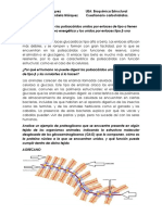 Cuestionariocarbohidratos