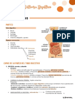 Sistema Digestivo resumen pdf