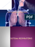 13 - Sistema Respiratório (AI)