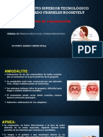 6° Clase - Términos Médicos Del Sistema Respiratorio