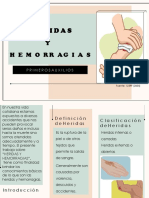 Heridas y Hemorragias