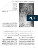 Dsdp13pt2 - 26 - 2-Petrography of Rocks From The Crestal Area of The Gorringe Bank