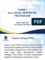 Tuweb 1 PKM