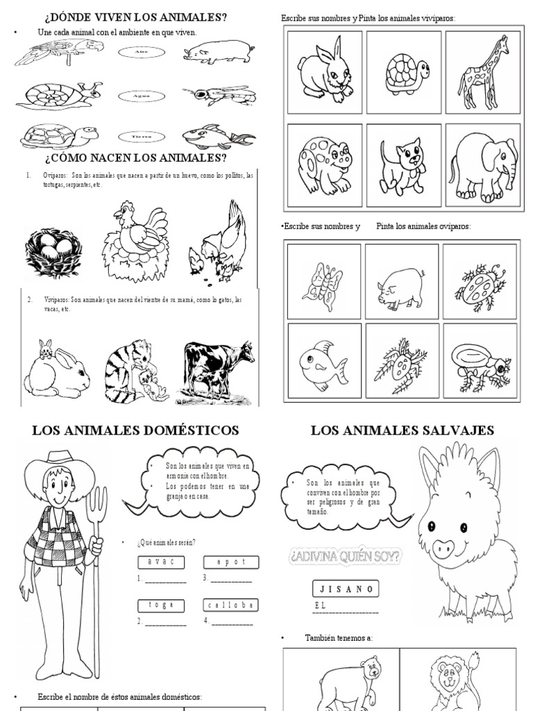 Hábitats y características de los animales | PDF | Reproducción