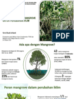 Pentingnya Hutan Mangrove Untuk Perubahan Iklim