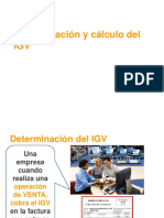 Determinac. y Cálculo Del - IGV