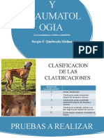 Ortopedia y Traumatologia