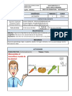 Guia #2 Las Plantas
