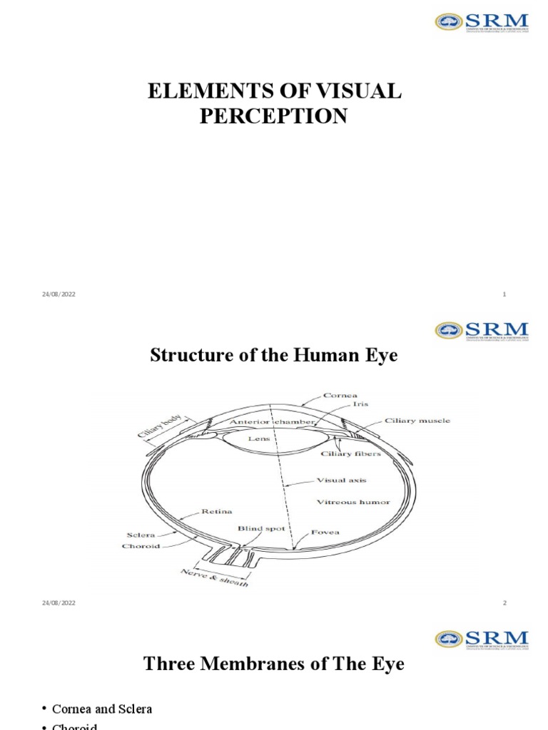ELEMENTS OF VISUAL PERCEPTION | PDF