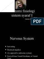 Anatomi Fisiologi Sistem Syaraf I: Akrom Fakultas Farmasi UAD Yogyakarta