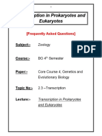 Transcription in Prokaryotes and Eukaryotes: (Frequently Asked Questions)