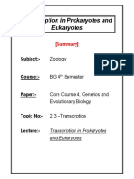 Transcription Summary