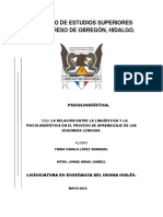 La Relacion Entre La Linguistica y La Psicolinguistica en El Proceso de Aprendizaje de Segundas Lenguas.