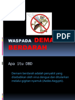 Waspada DEMAM BERDARAH