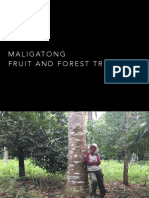 Maligatong Farm