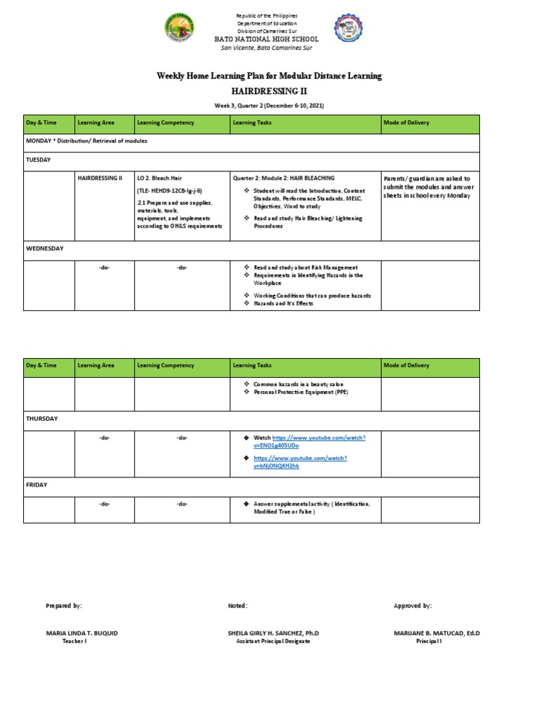 Weekly Home Learning Plan For Modular Distance Learning Hairdressing Ii ...