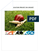 PDF Physical Education Project On Cricket