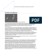 Description and Significance: Igher Order Taxa Species