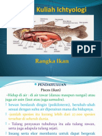 Ichtyology Rangka Ikan (1)