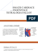 Malformații Cardiace Congenitale