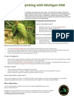 Pinecone Collecting Flyer 2022