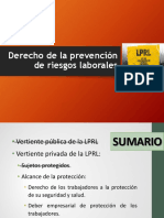 Derecho 3-Vertiente Privada (Alcance de La Protección)