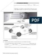 Refuerzo - Rotacion - Traslacion Sin Soluciones