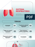 Sistema Respiratório