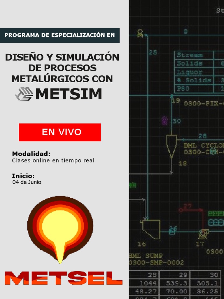 Especialización en Procesos con METSIM | PDF | Simulación | Software