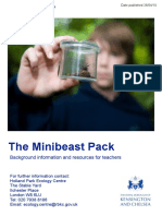 Mini Beasts Pack
