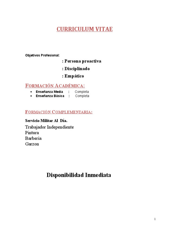 Curriculum Alonso PDF