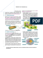 Proyecto 4 Act 2 Biologia 1ero