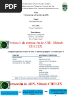 Técnicas de Extracción de ADN