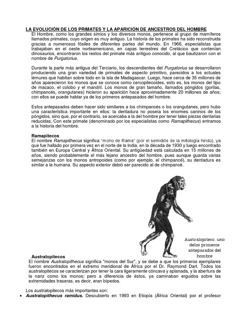 ORIGENES DE LA HUMANIDAD | PDF | Homo | Paleolítico