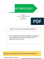 Metabolismo .Semana 16. Desde El 23 Al 27 de Agosto Del 2021