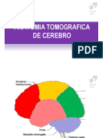 2.1.1 TC anatomia Cerebro b