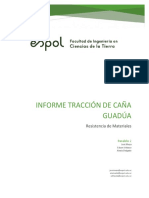 Informe Caña Guadua G01 P02