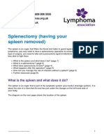 Splenectomy (Having Your Spleen Removed) : What Is The Spleen and What Does It Do?