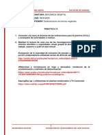 Semana  13 Práctica.