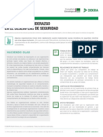 El Rol Del Alto Liderazgo en El Desempeño de La Seguridad