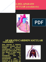 Fisiologia Da Del Aparato Cardiovascular Circulatorio