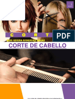 PDF de Corte de Cabello