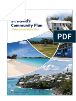 St. Davids Community Plan Statement and Action Plan DRAFT