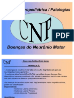 aula-9-neuronio-motor-ela