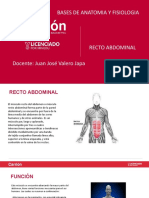 RECTO ABDOMINAL - ANATOMIA