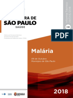 Informe Tecnico_Malaria(1)