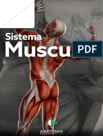 06+-+Sistema+Muscular